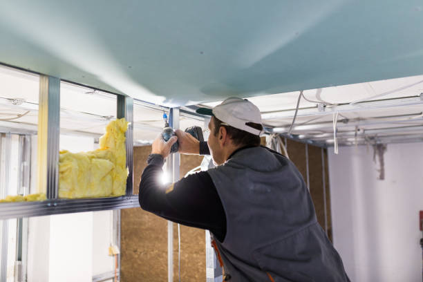 Best Eco-Friendly Insulation in Oakdale, NY